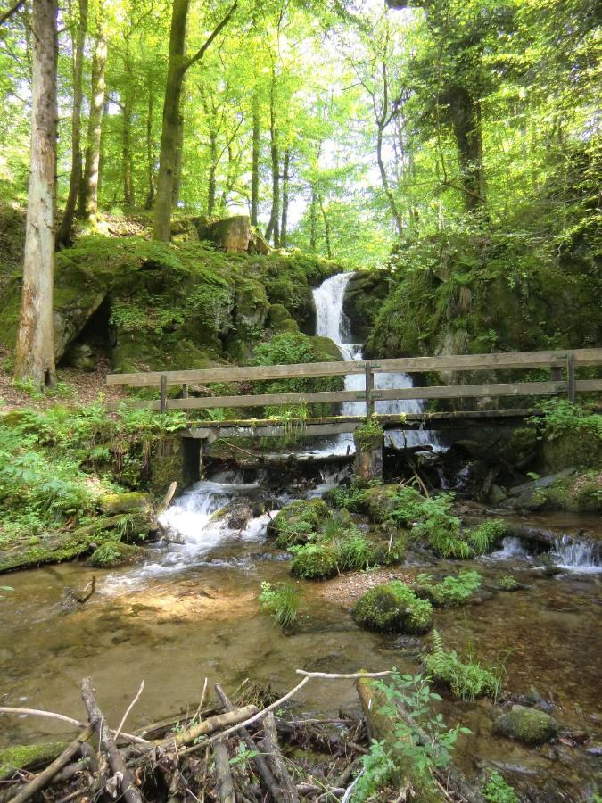 Waldgasthof Altersbach Waldkirch Exterior photo